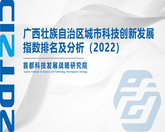 女人骚屄被操视频网站【成果发布】广西壮族自治区城市科技创新发展指数排名及分析（2022）